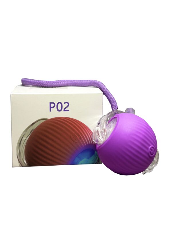 IMG_9429 (1).jpg PELOTA INTERACTIVA INTELIGENTE PARA GATOS CON LUCES COLOR MORADO